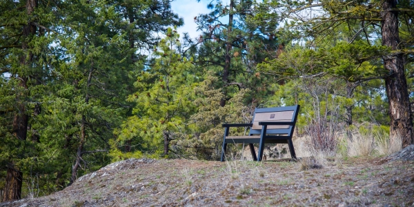 Wishbone Rutherford Memorial Bench at the East Side Kathlene Lake in Knox Mountain Park Kelowna BC
